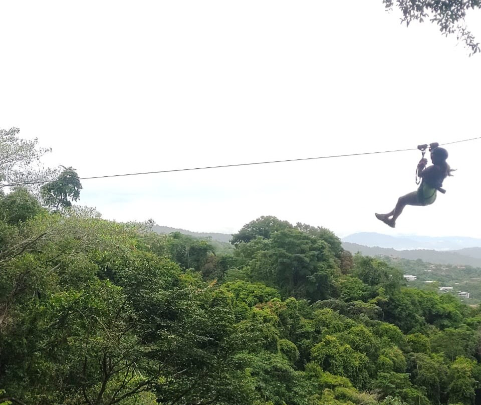 Chiclets Zipline景点图片