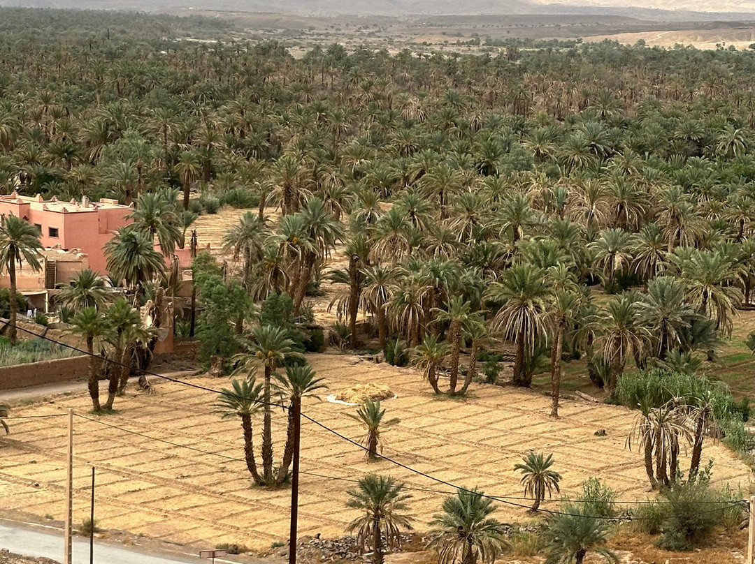 Seekers Travel Morocco-瓦尔扎扎特必去景点