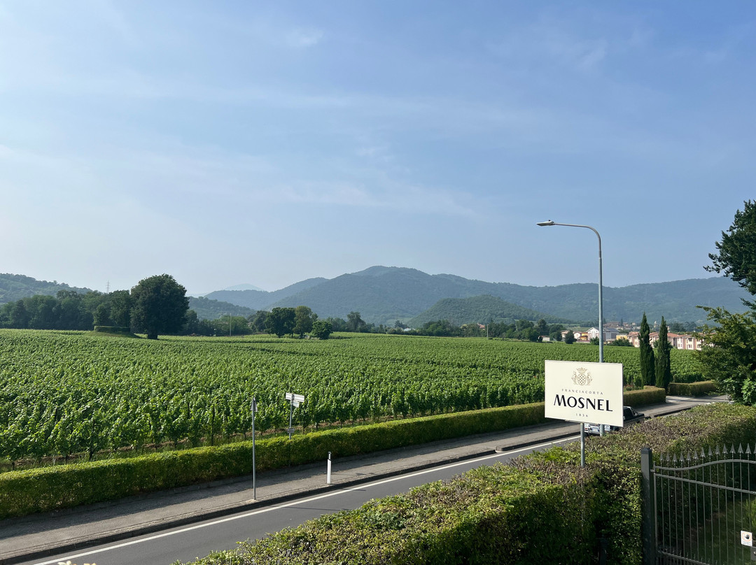 Mosnel - Franciacorta景点图片