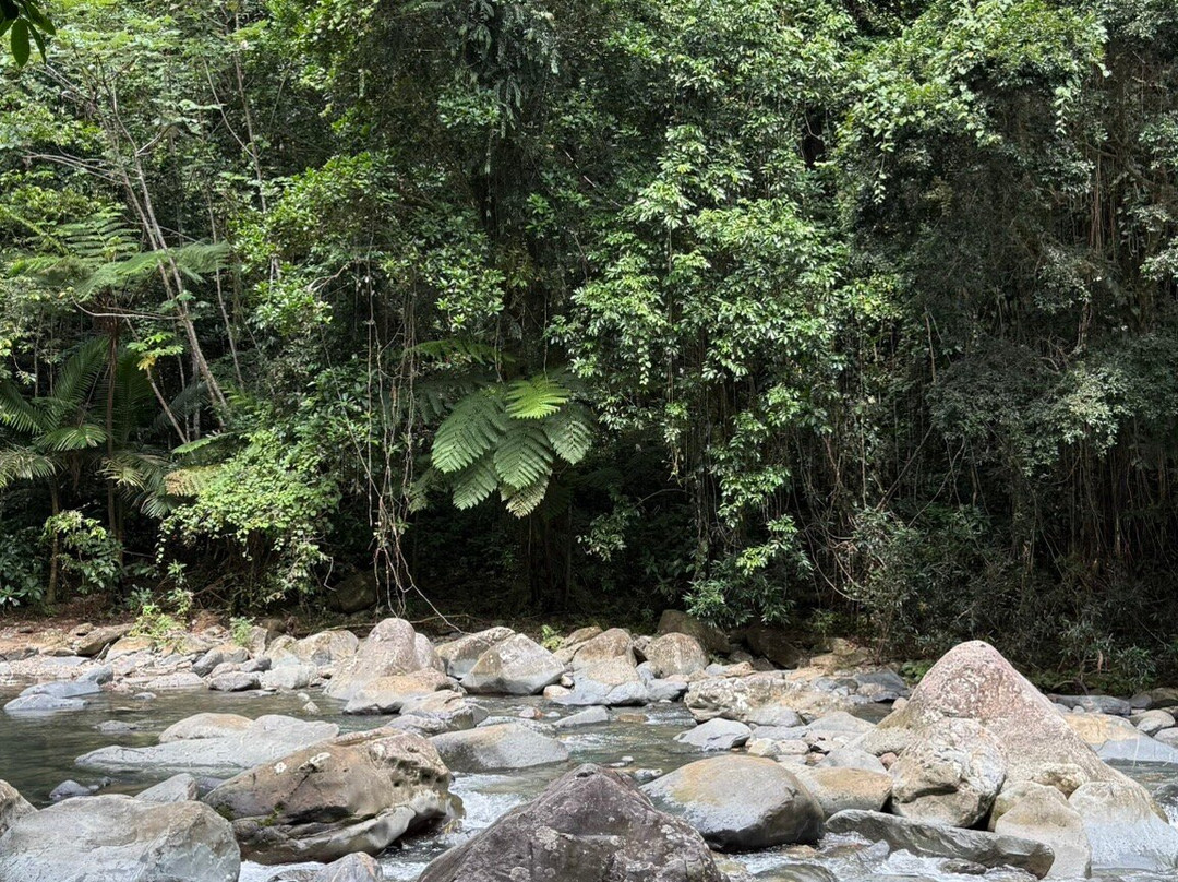 El Yunque Tours-Rio Grande必去景点