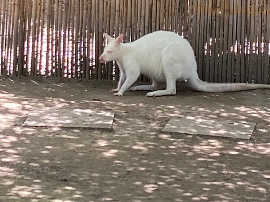 Bioparc Genève Pierre Challandes-Bellevue必去景点