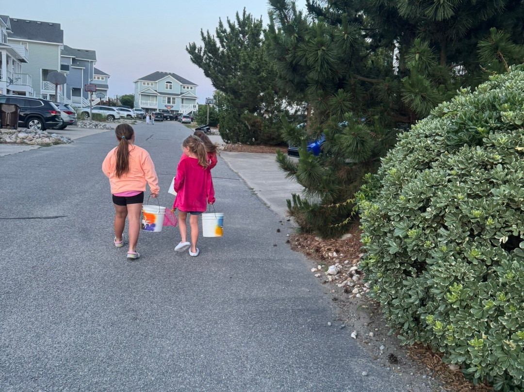 Ghost Crab Quest-Kitty Hawk必去景点