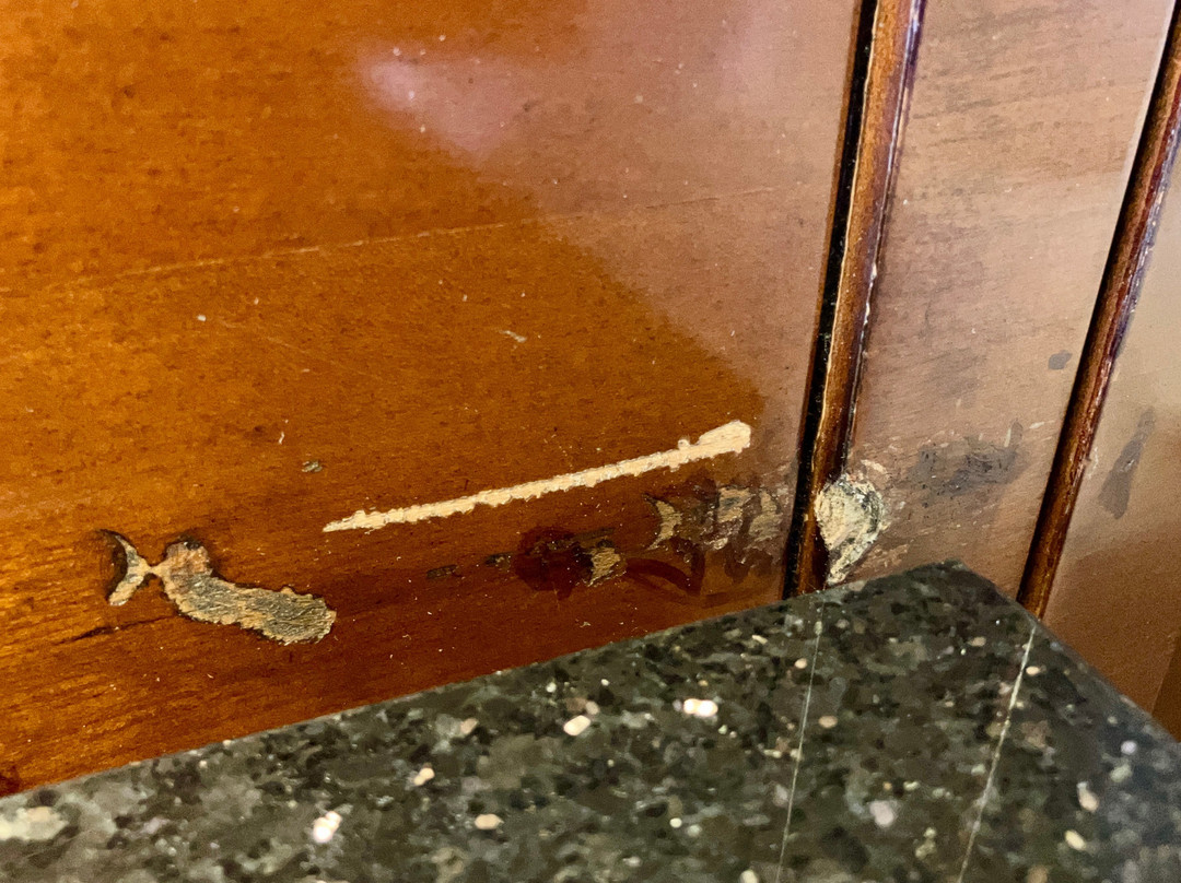 罗彻斯特机场万豪酒店主图