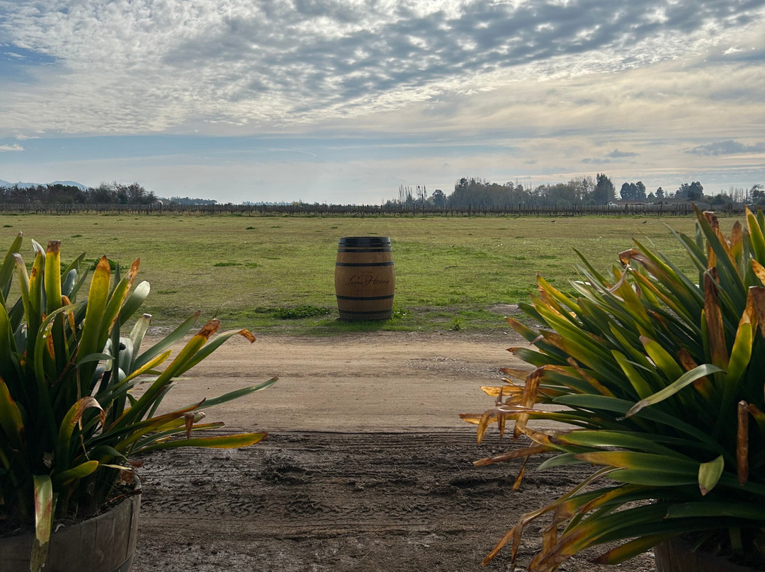 Laura Hartwig Winery-圣克鲁斯必去景点