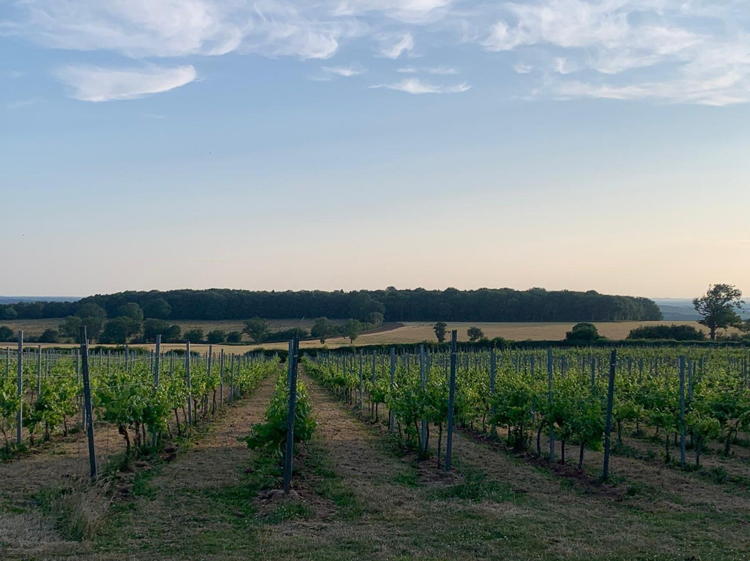 Blabers Hall Wine Estate-Fillongley必去景点