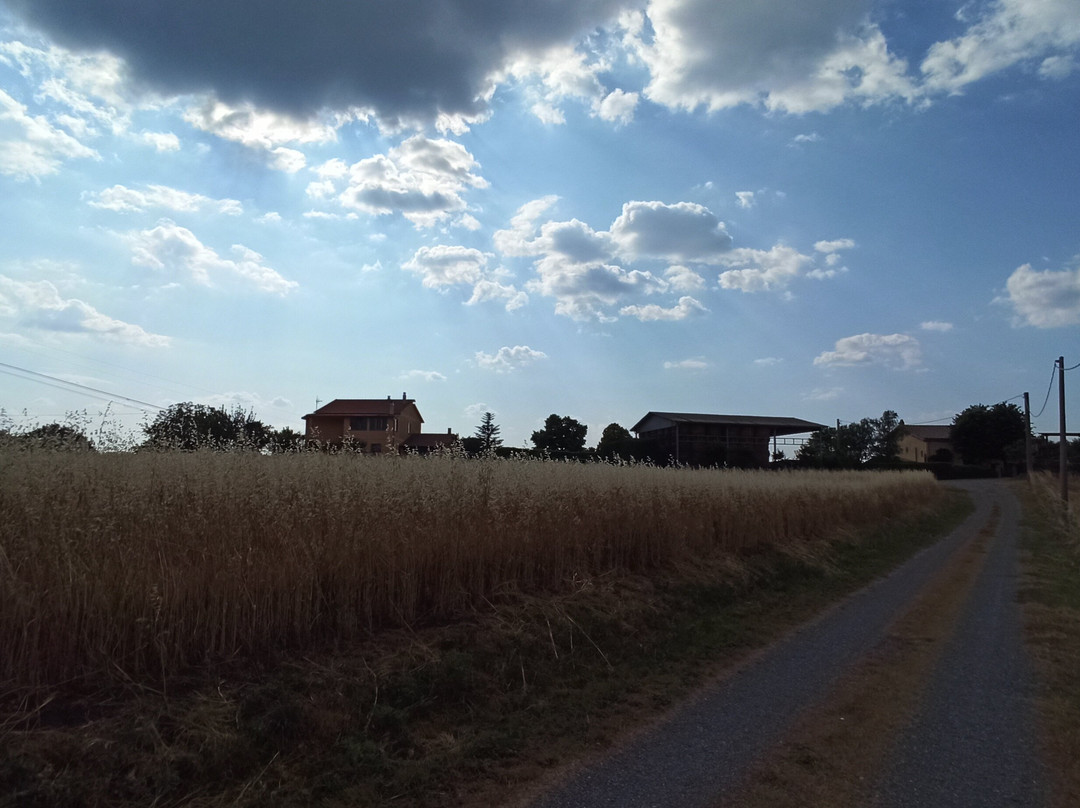 Bed & Breakfast Podere Ospedaletto主图