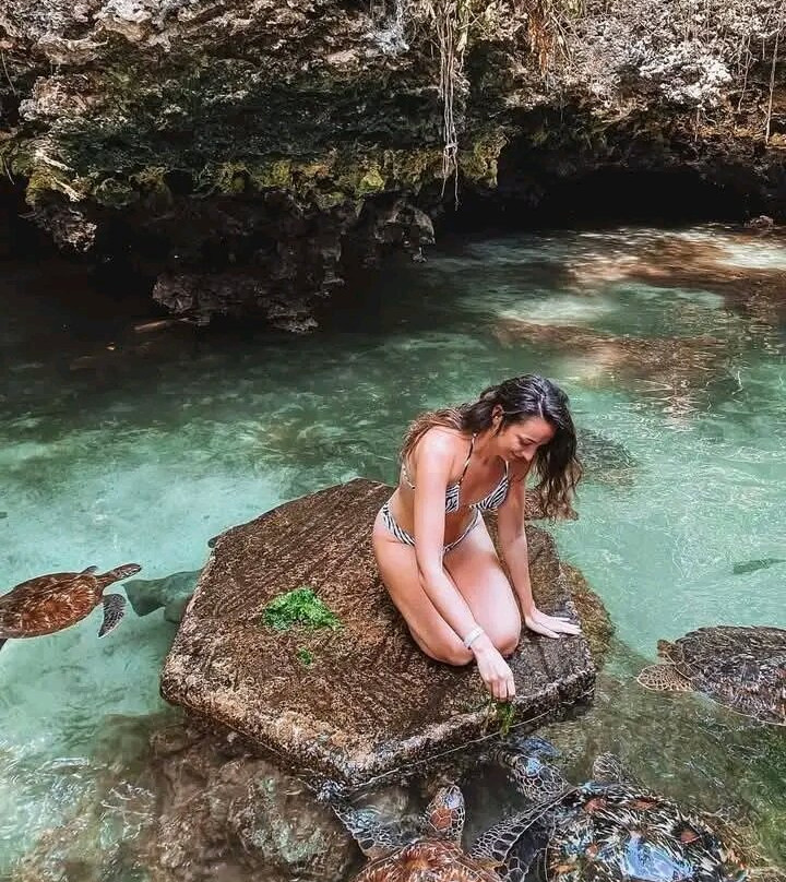 Zanzibar tours by Juma-Matemwe必去景点