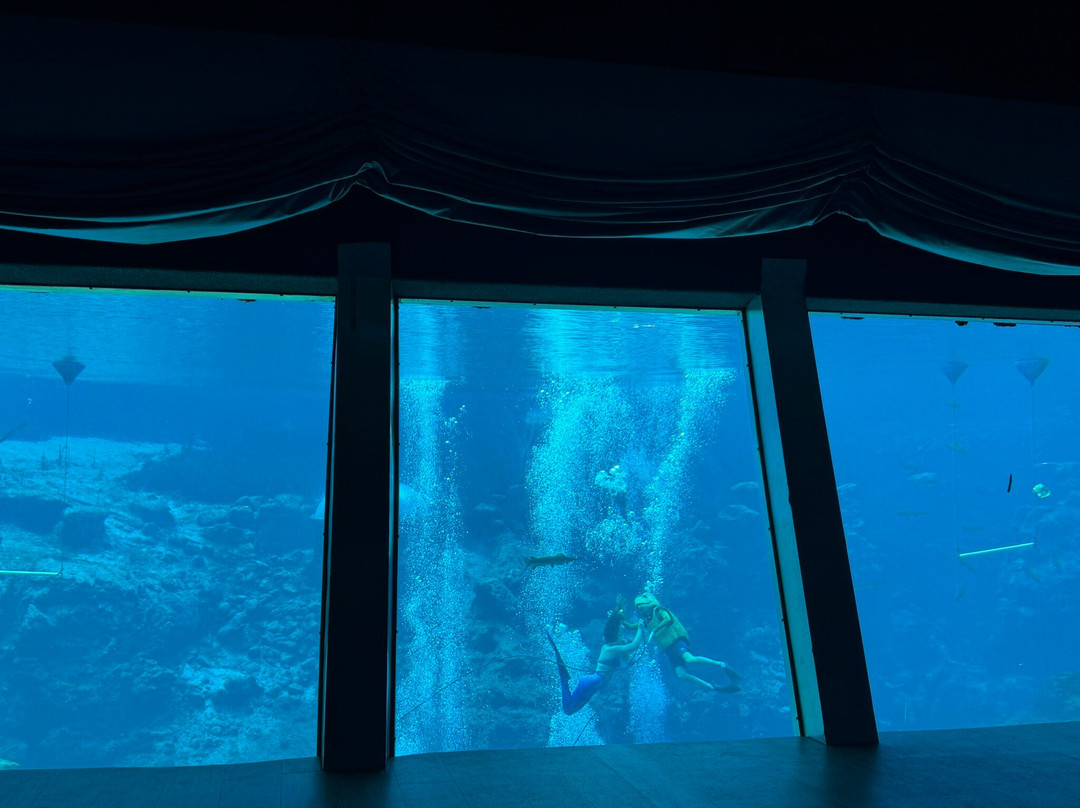 Weeki Wachee Springs State Park-Spring Hill必去景点