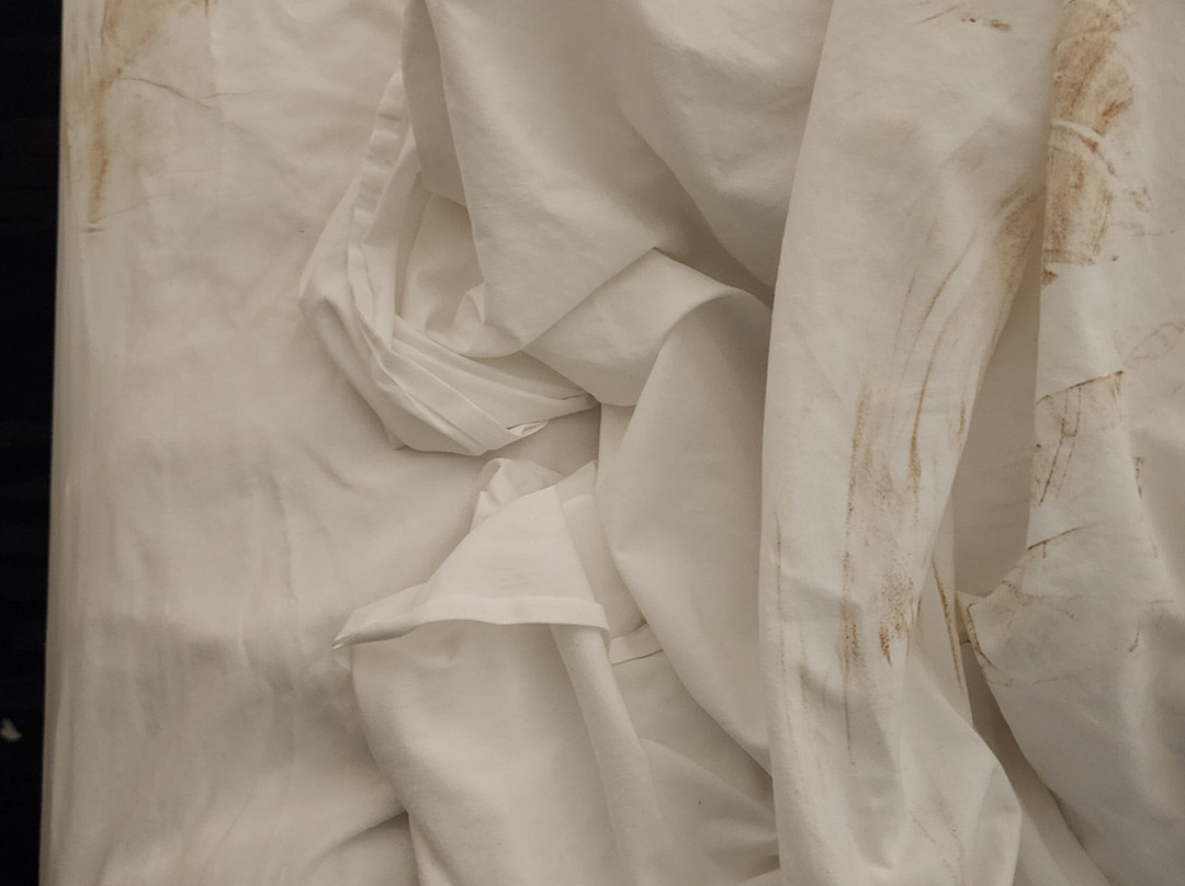 Fairfield by Marriott Inn & Suites Charlotte Belmont主图