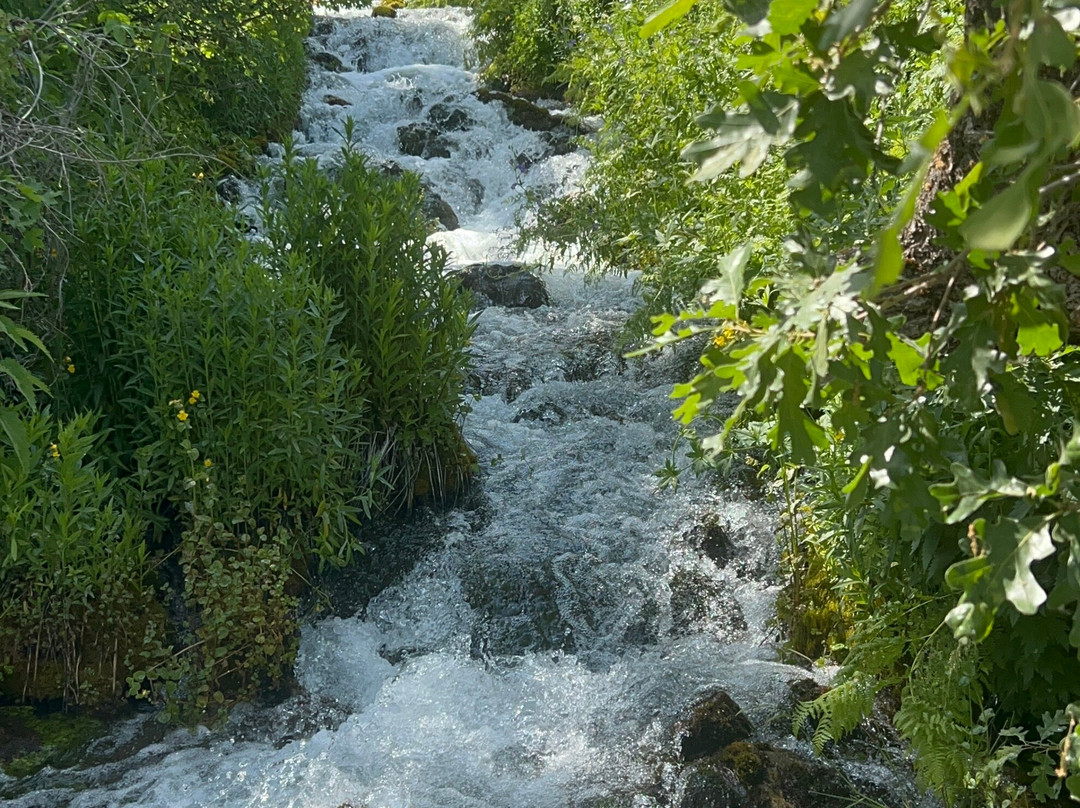 Cascade Falls-Duck Creek Village必去景点