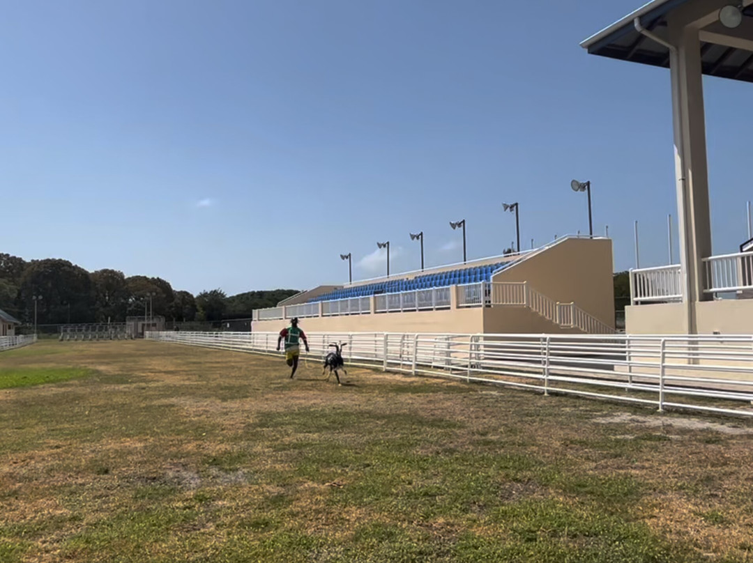 Goat Race Stadium-Buccoo必去景点