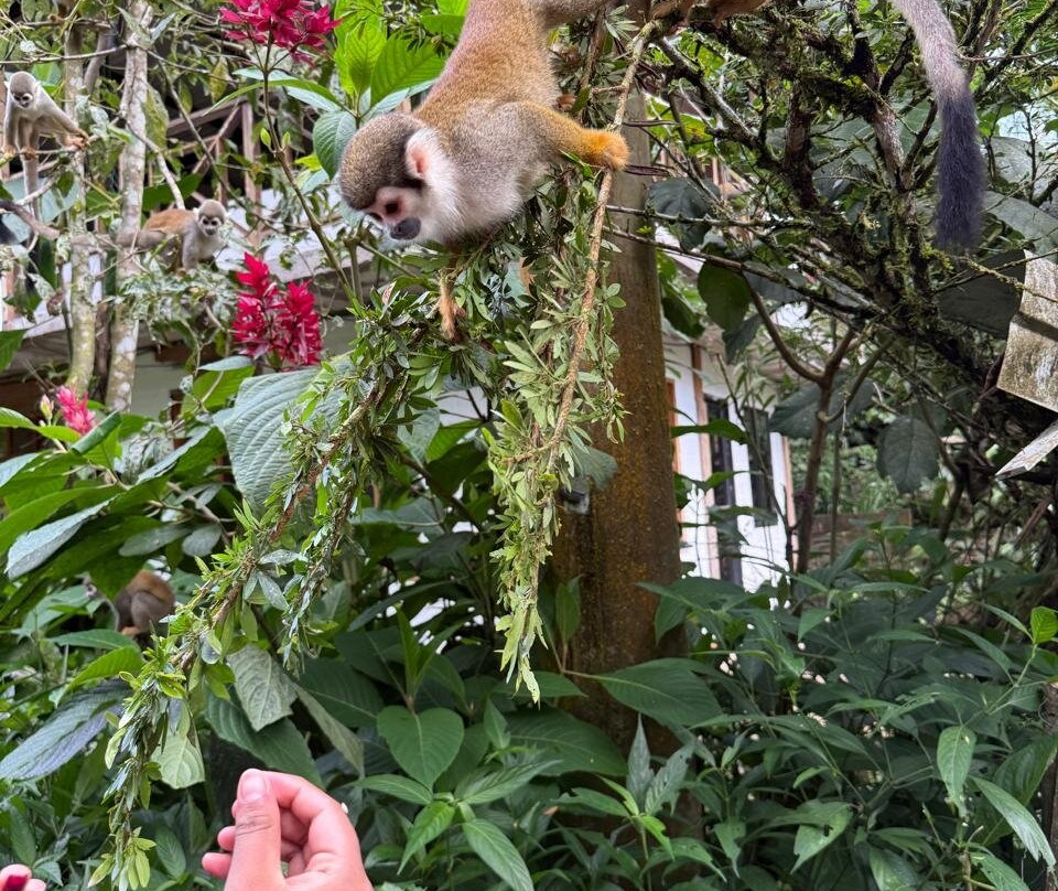 Zanja Arajuno-Puyo必去景点