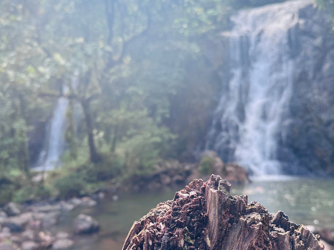 Terra Trek Tours-太平洋港必去景点