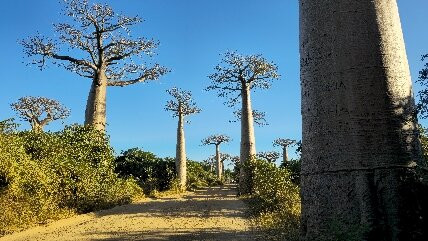 GASY' DIA-安塔那那利佛必去景点