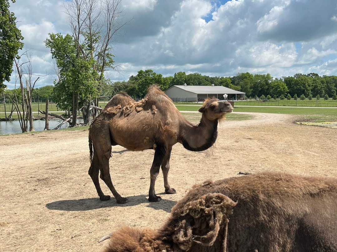 Aikman Wildlife Adventure-Arcola必去景点