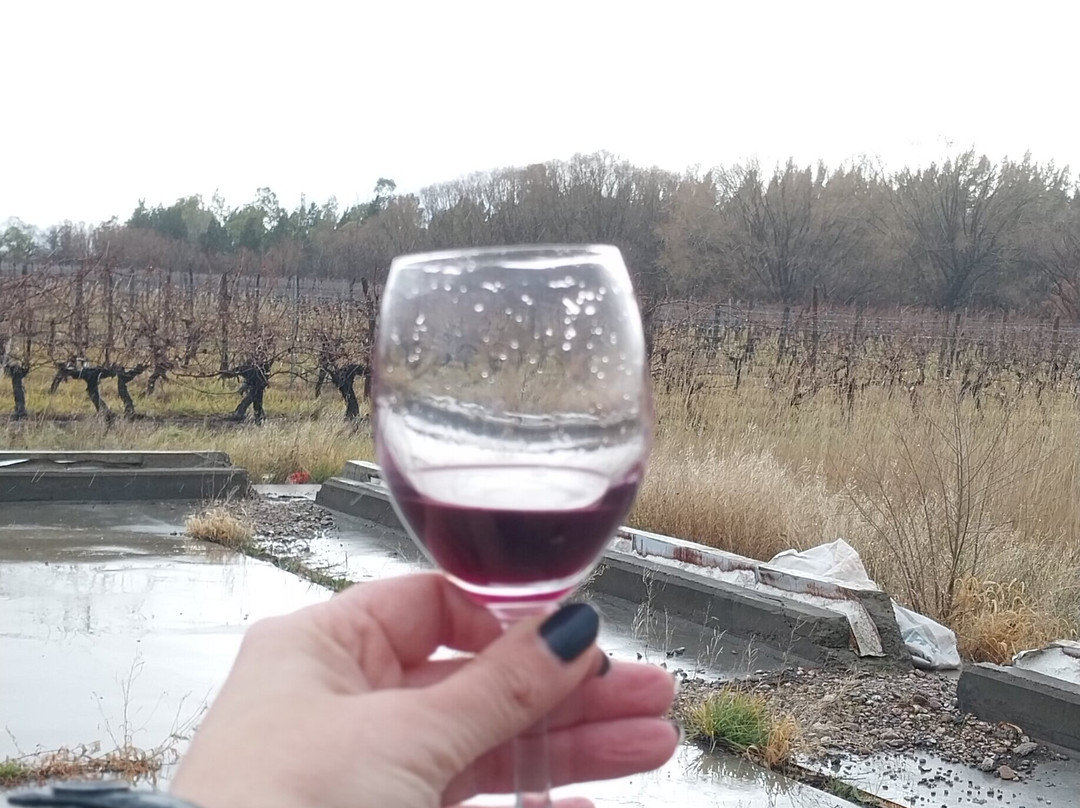 Wapisa Winery-Viedma必去景点