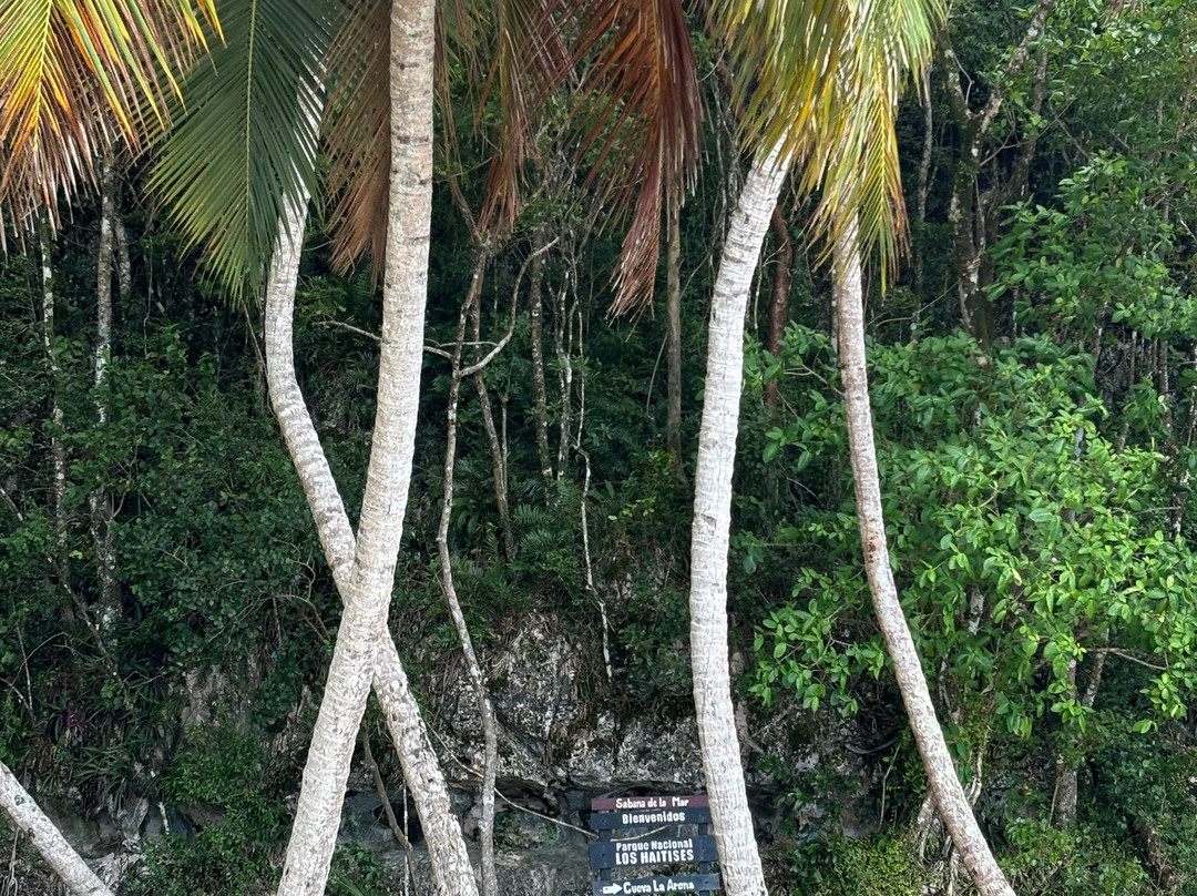 Action Tours By J Raven-Las Galeras必去景点