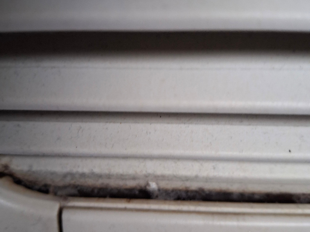 Suburban Studio主图