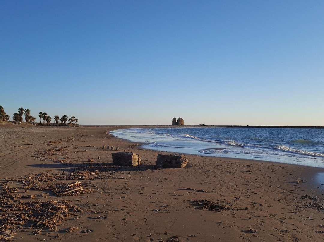 Monumento Naturale Palude di Torre Flavia-拉迪斯波利必去景点