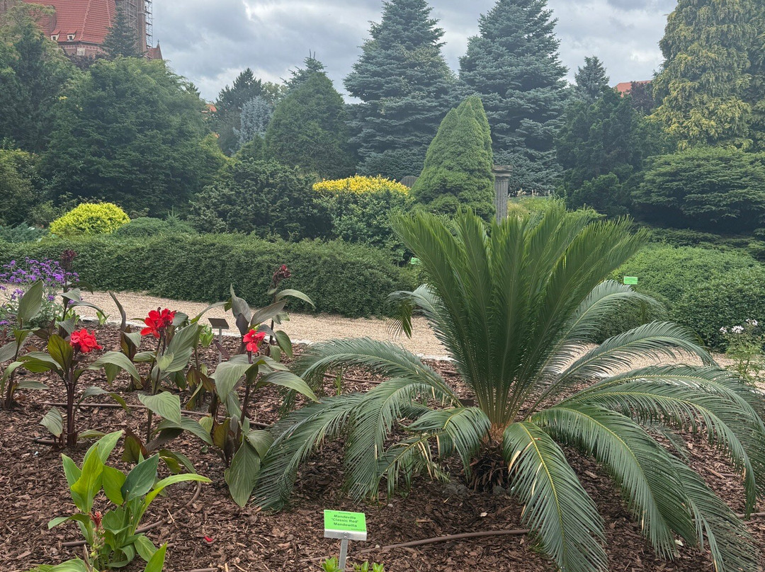 Botanical Garden of the University of Wrocław-弗罗茨瓦夫必去景点