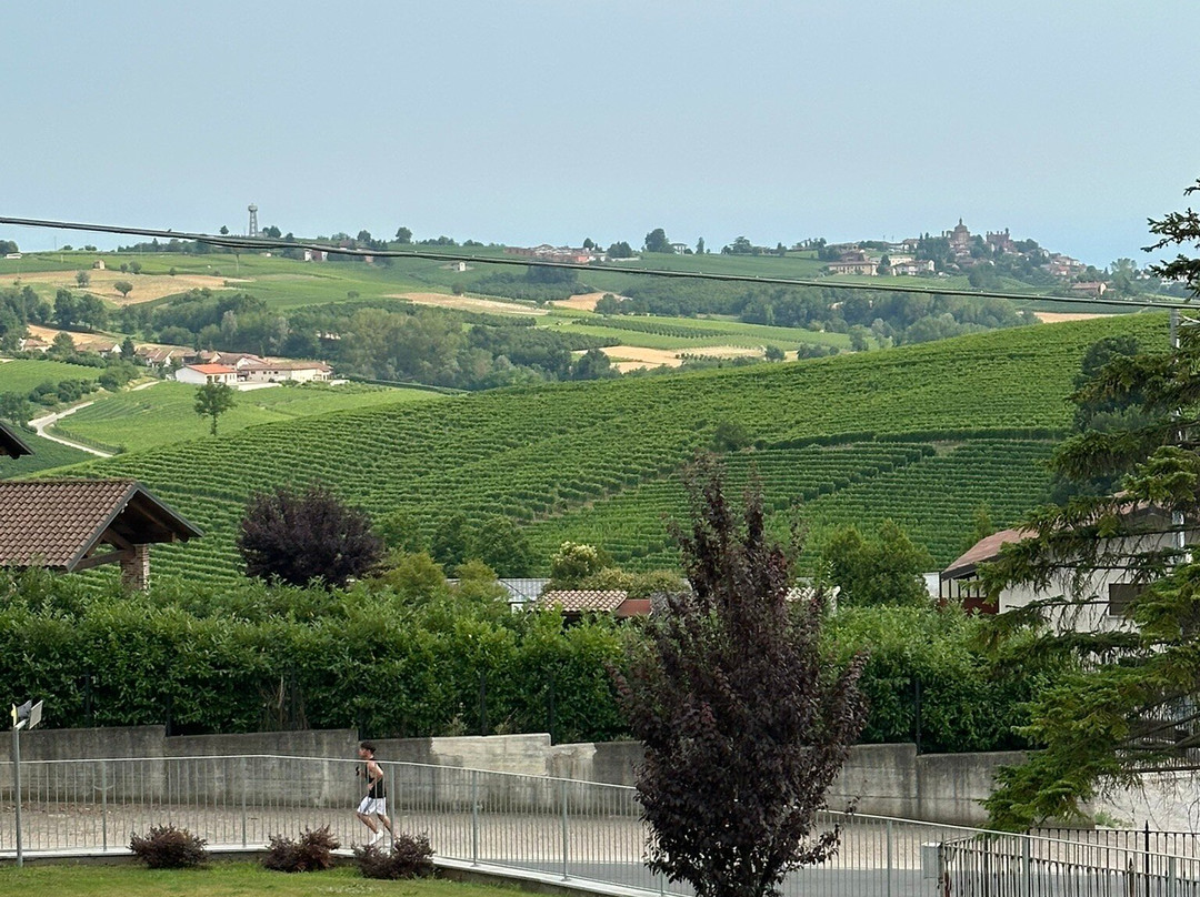 Agriturismo le Viole主图