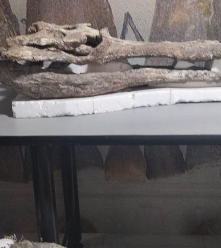 Museo De La Tatacoa-Villavieja必去景点