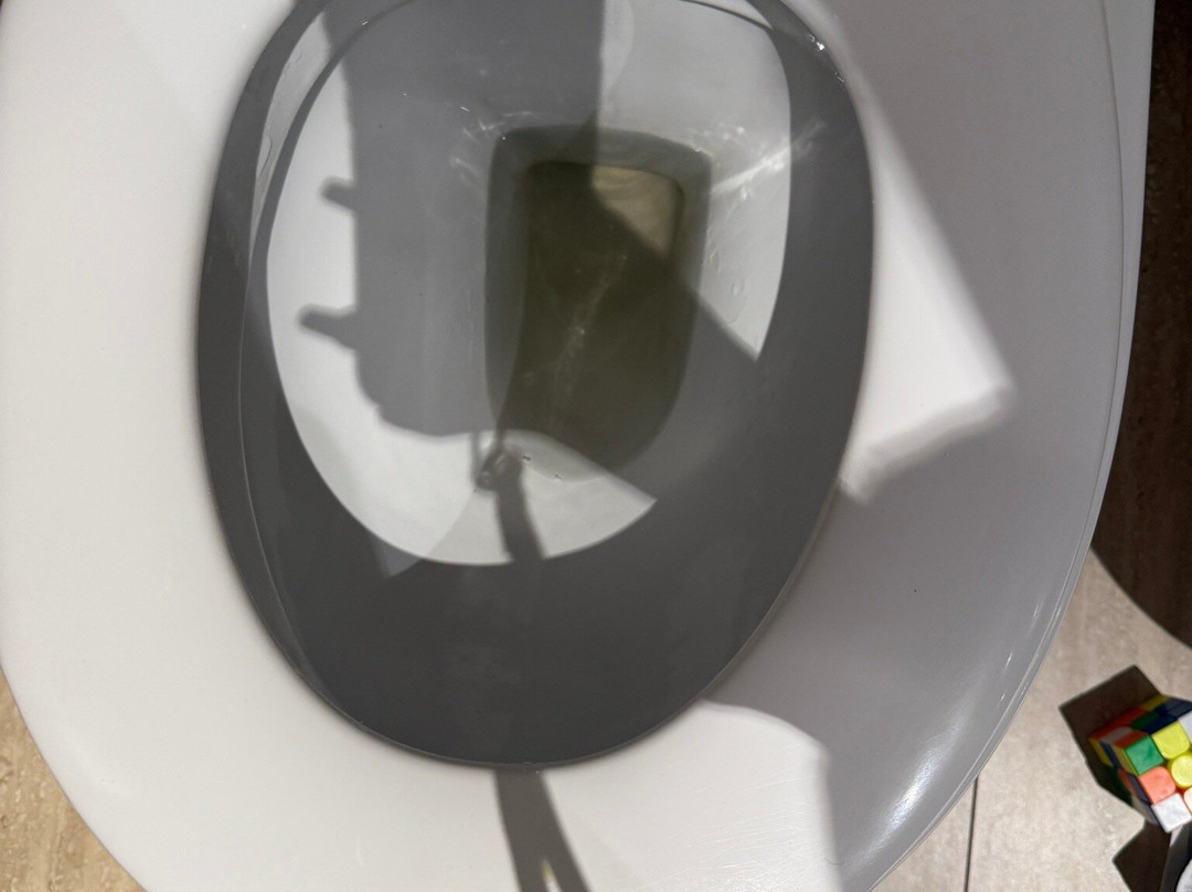 奥兰喜来登酒店主图