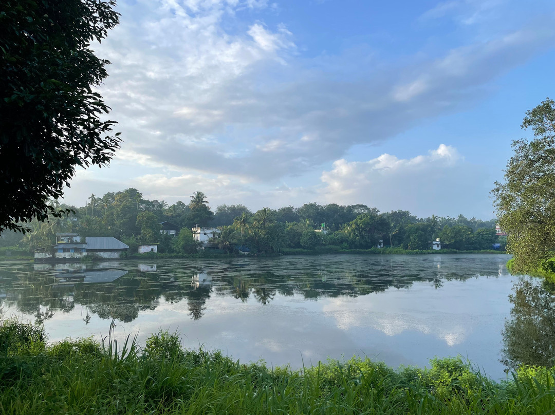 Namasthe Ayurveda And Yoga Retreat-尼杜巴塞莱必去景点