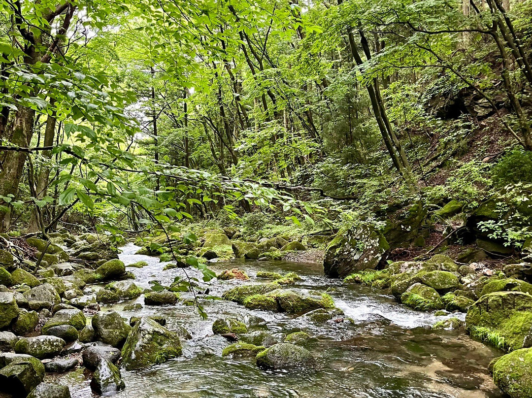 Otome Waterfall-那须盐原市必去景点