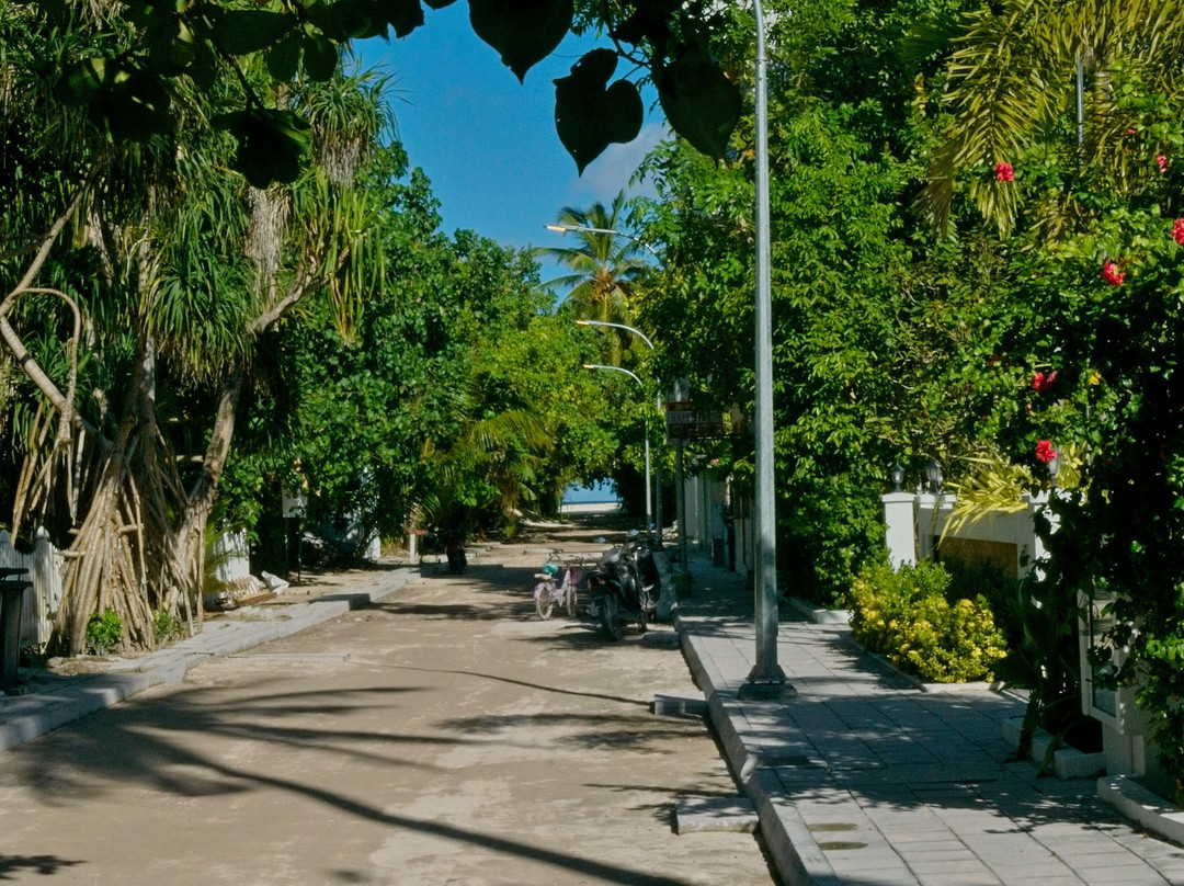 Nala Veli Beach & Spa主图