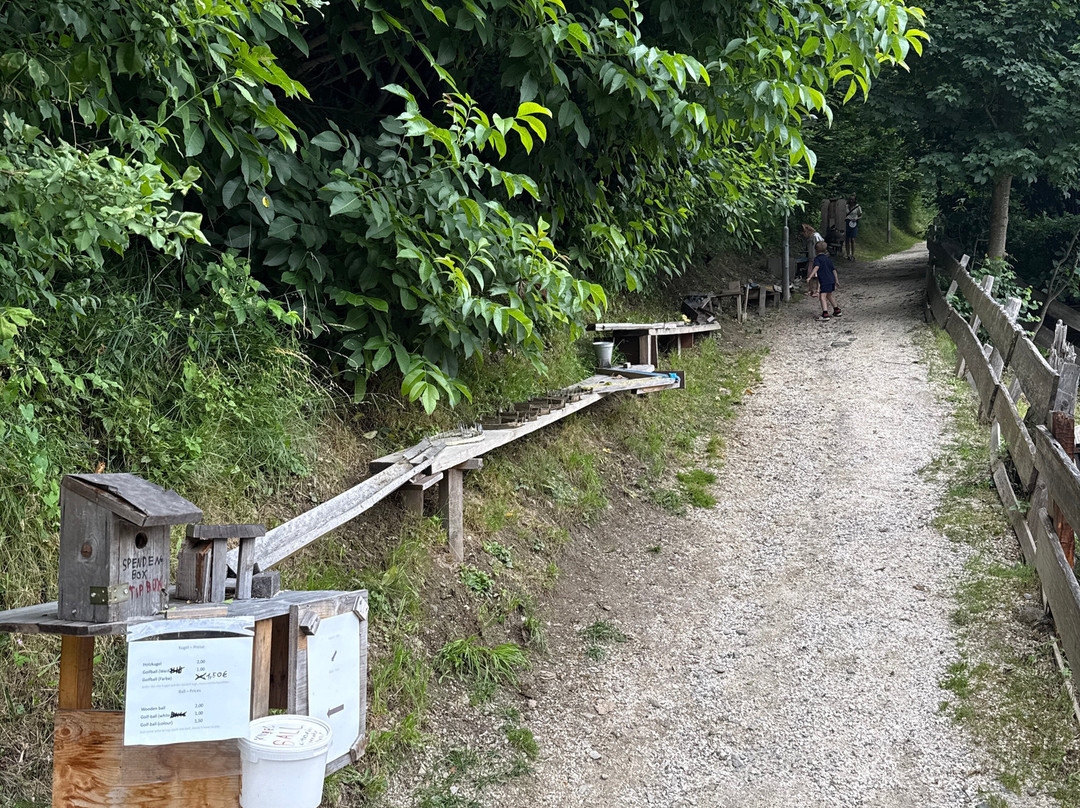 Kugelbahn Von Julius Und Valentina