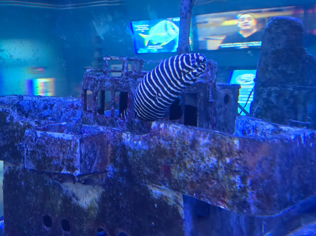 IMAG History & Science Center-迈尔斯堡必去景点