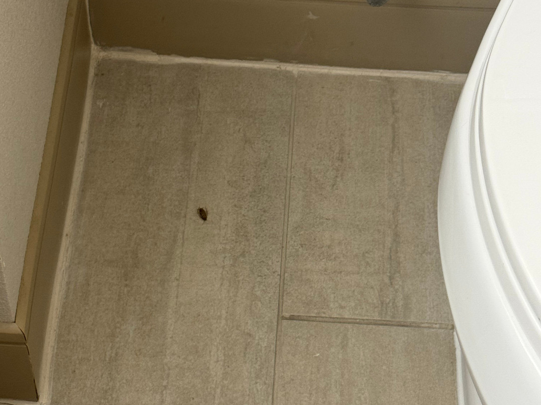 Holiday Inn Express & Suites McDonough by IHG主图