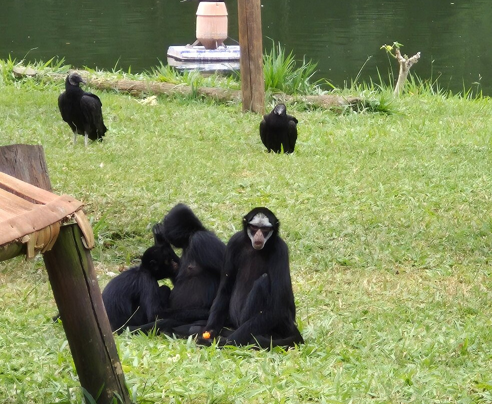 Parque Zoologico Municipal Quinzinho De Barros-索罗卡巴必去景点