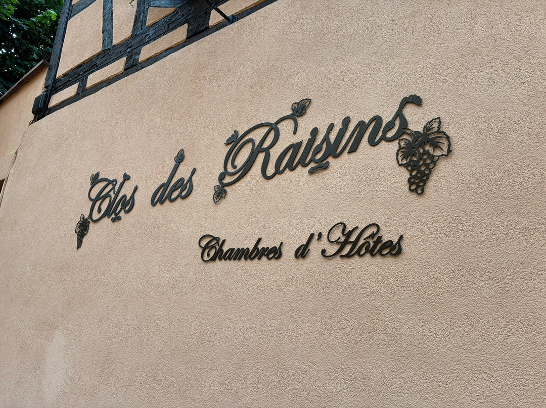 Clos des Raisins主图