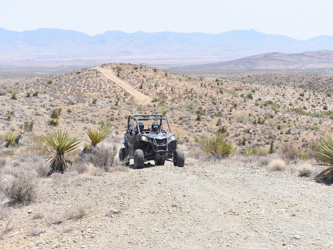 OUI Experience LLC-Dolan Springs必去景点