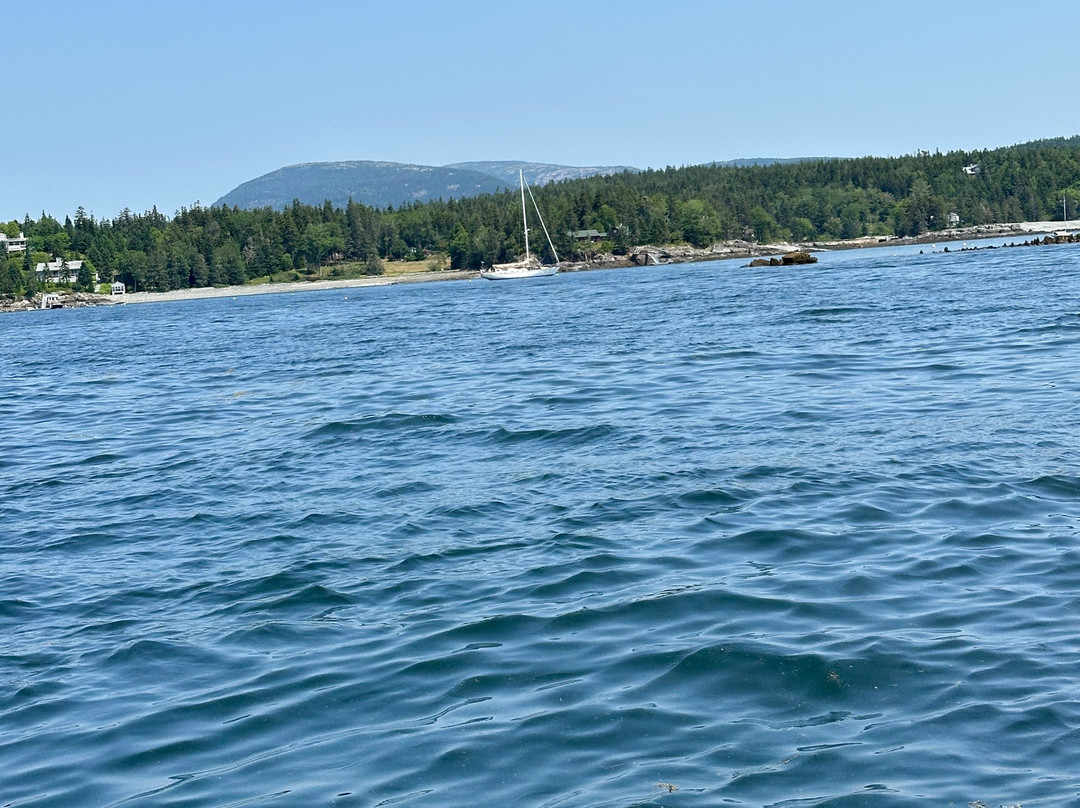 Bar Harbor Fishing Tours-山漠岛必去景点