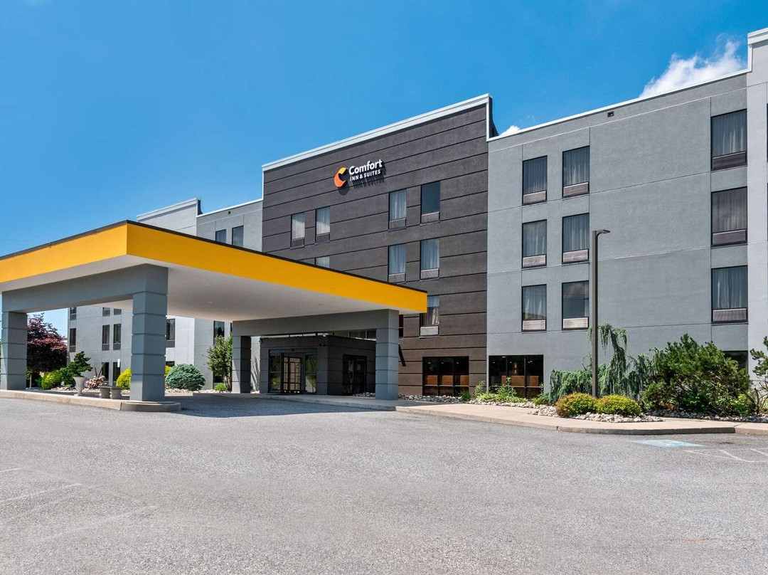 Emigsville酒店住宿-Comfort Inn & Suites