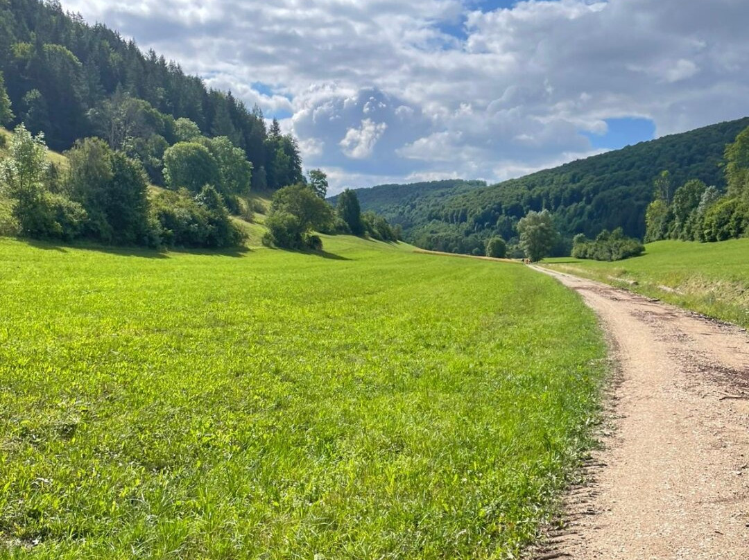 Landgasthof Hotel Hirsch im Grunen主图