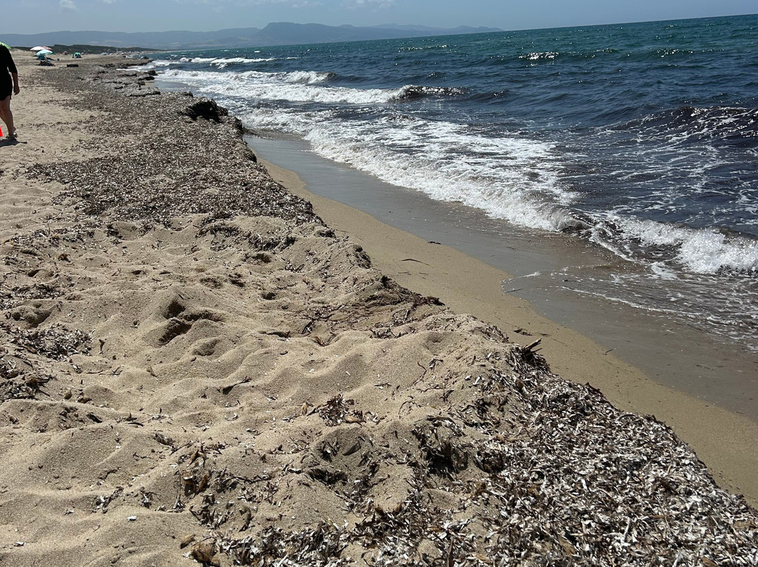 Spiaggia Li Feruli-Badesi必去景点