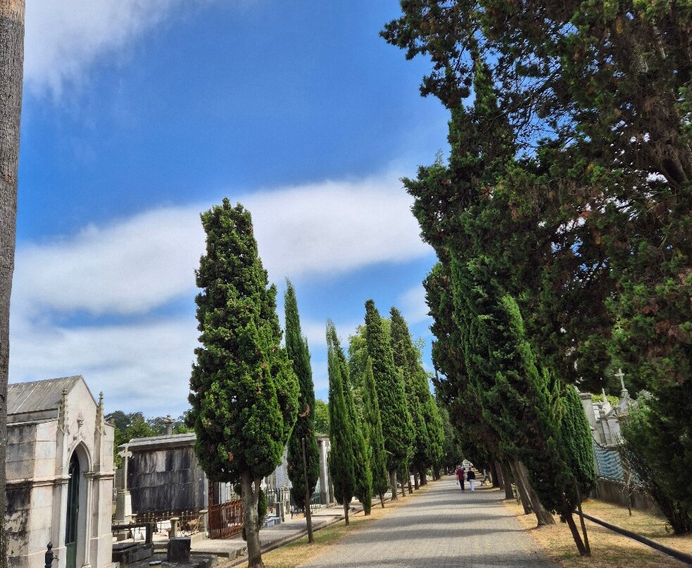 Cemitério do Prado do Repouso-波尔图必去景点
