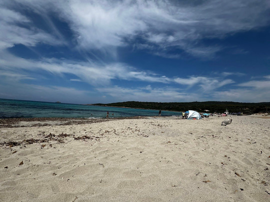 Plage de Capo di Feno-阿雅克肖必去景点