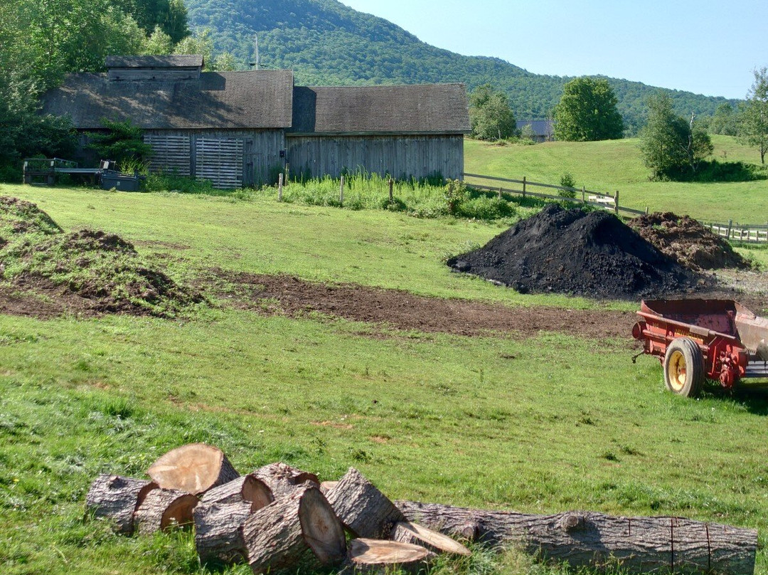 Mad River Lodge主图