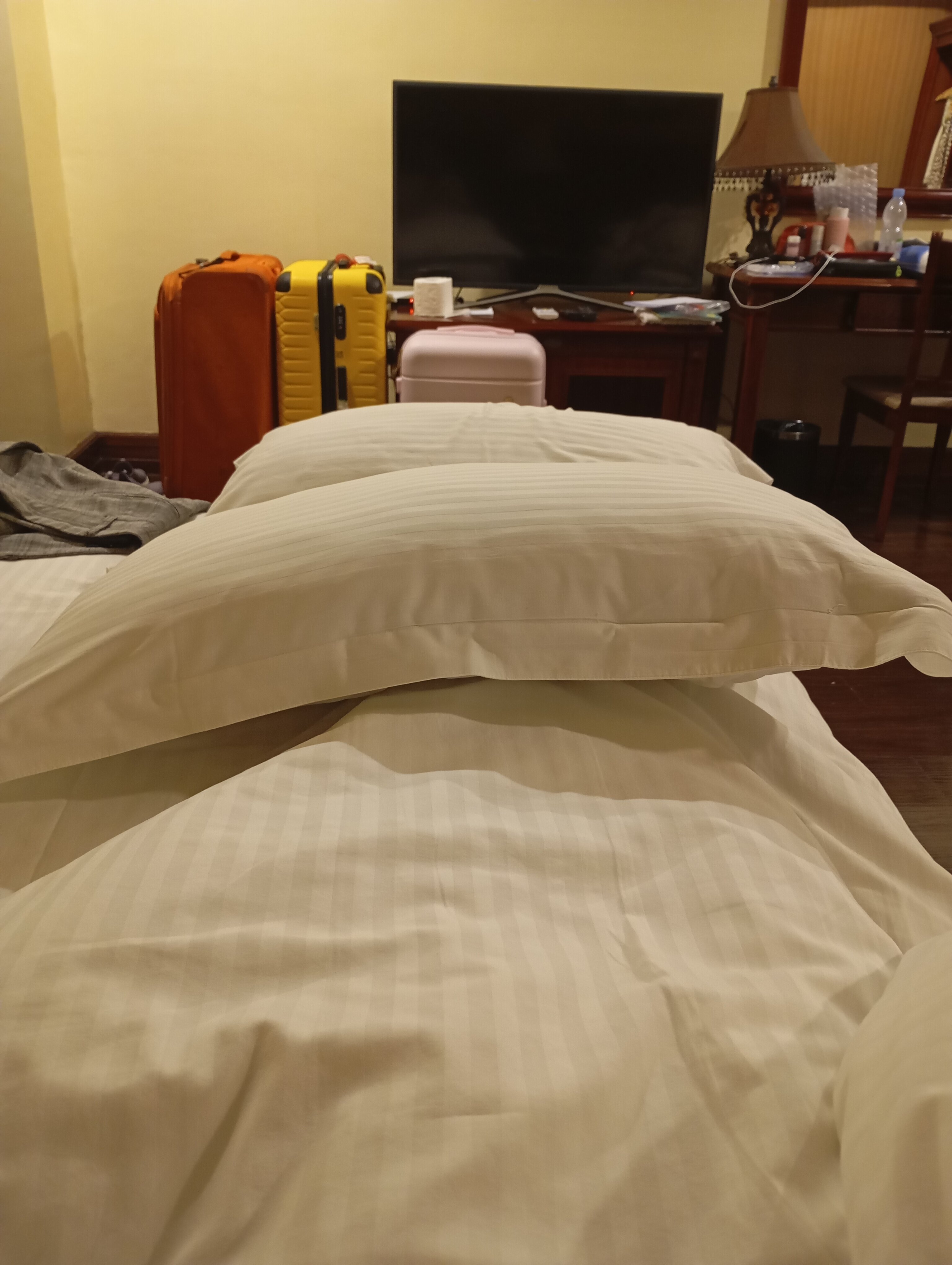 卡塞雷斯别墅酒店-官方