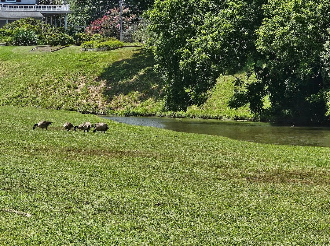 Cow Pond-埃尔克顿必去景点