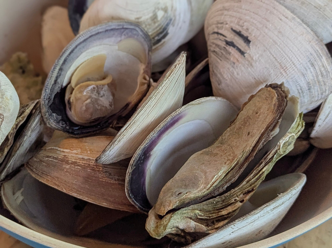 Experience PEI-夏洛特镇必去景点