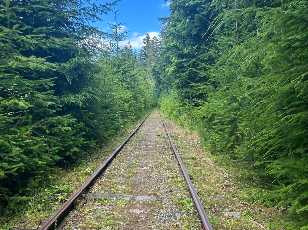Vance Creek Railriders-Shelton必去景点