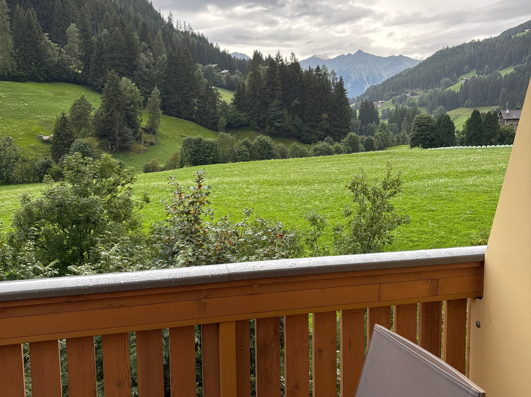 Hotel Alpenblick主图