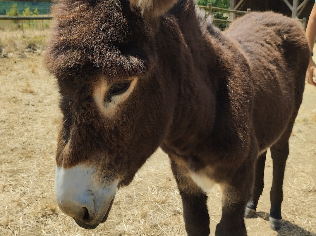 La Ferme du Hitton-Biran必去景点