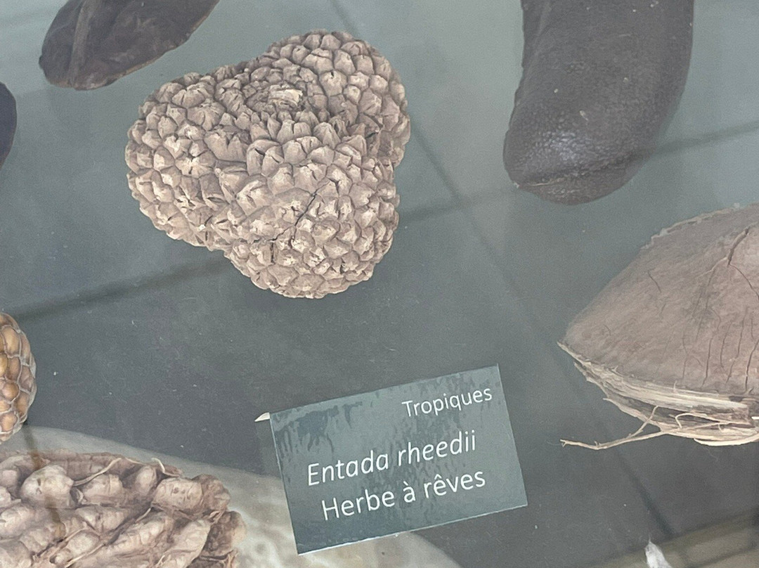 Camifolia Garden-Chemille必去景点